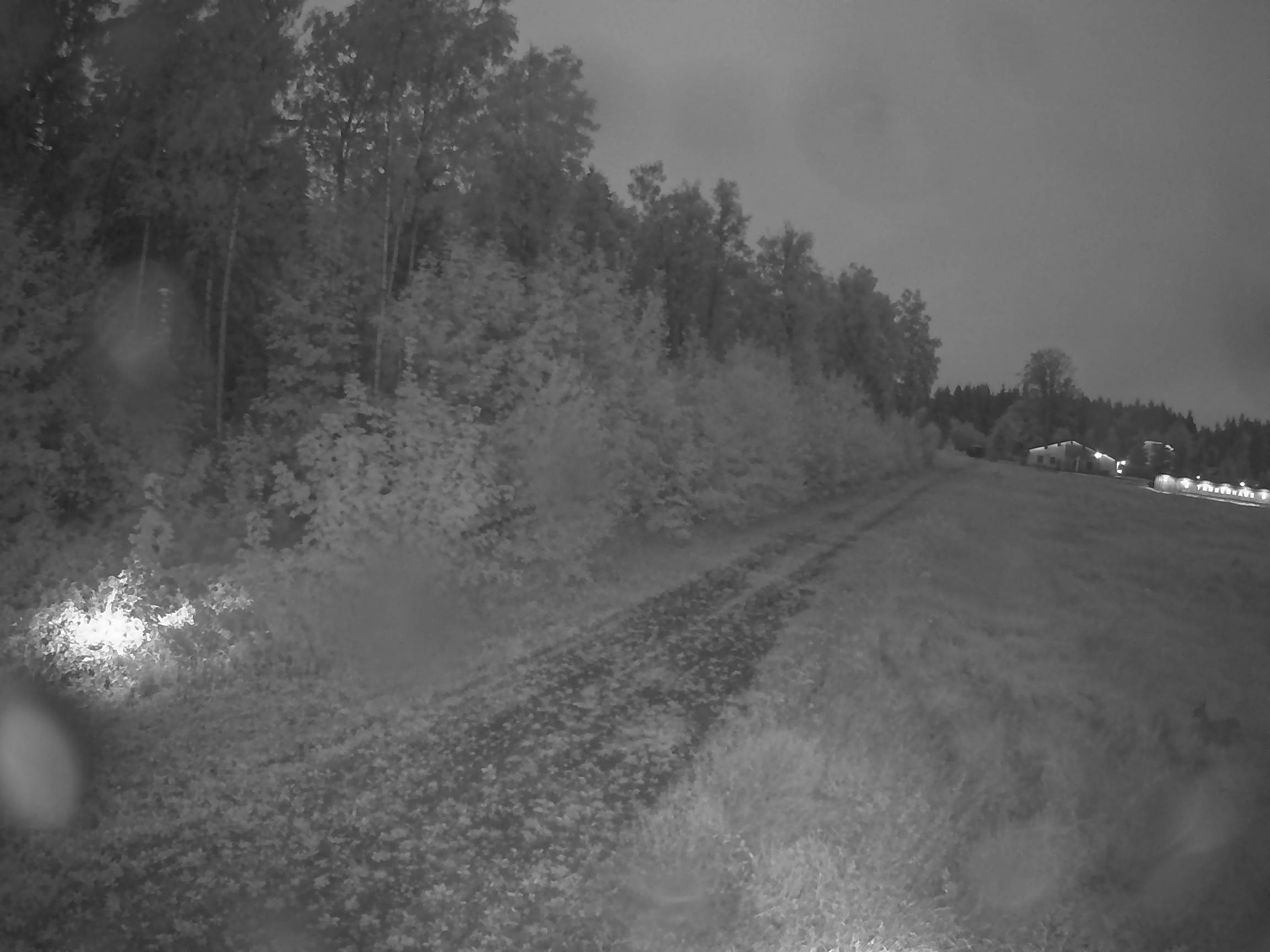 Webcam Schöneck Bogen
