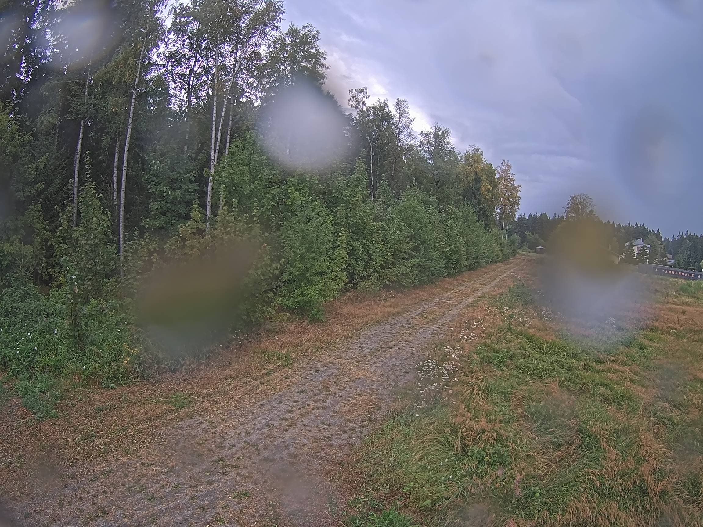 Webcam Schöneck Bogen
