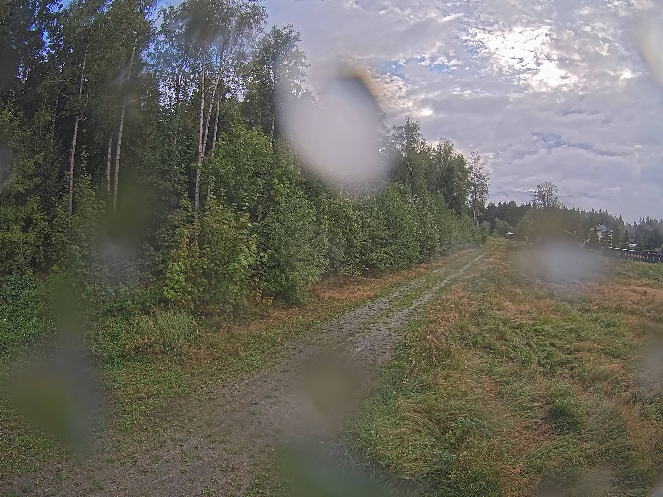 Webcam Schöneck Bogen