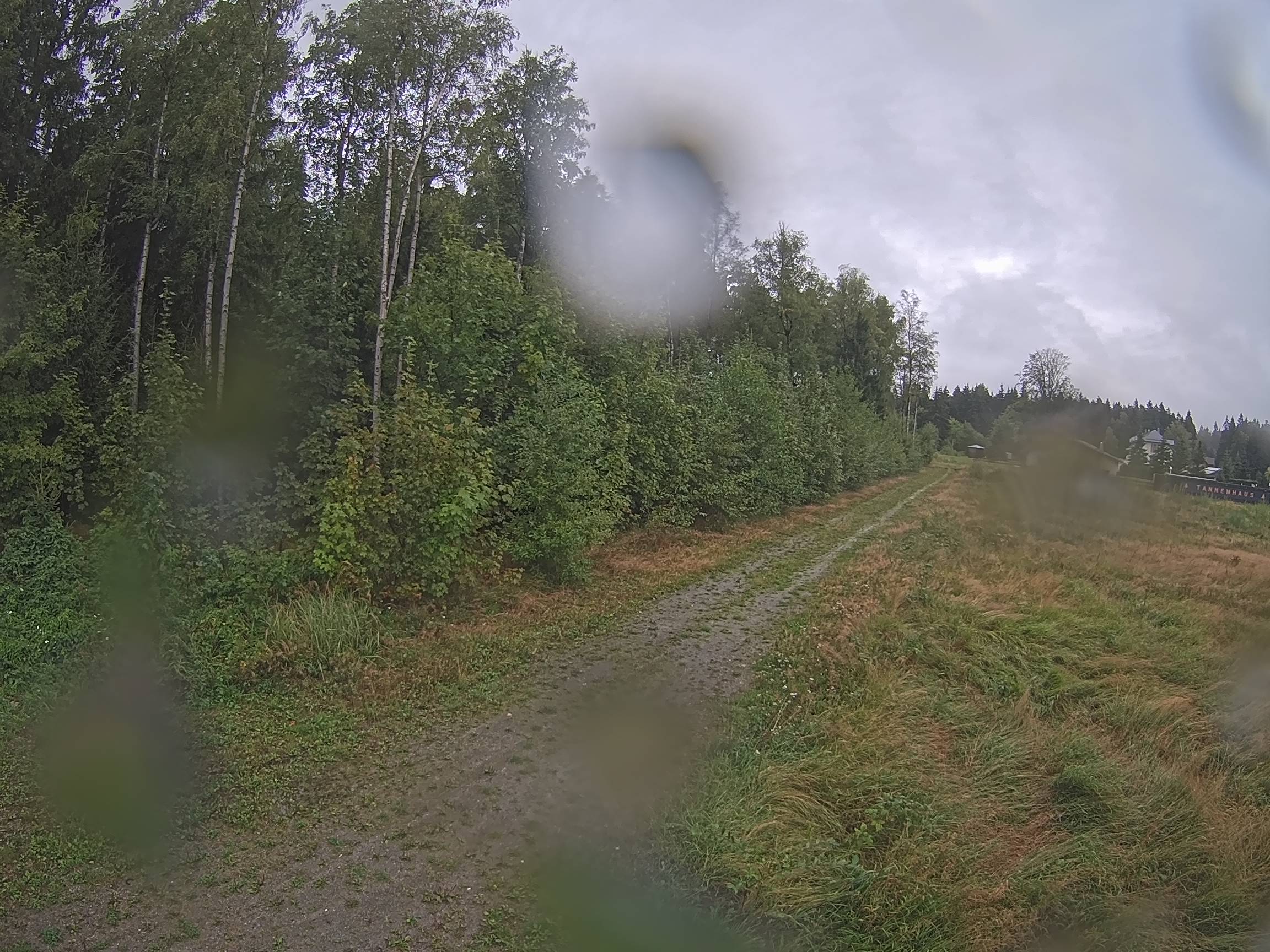 Webcam Schöneck Bogen