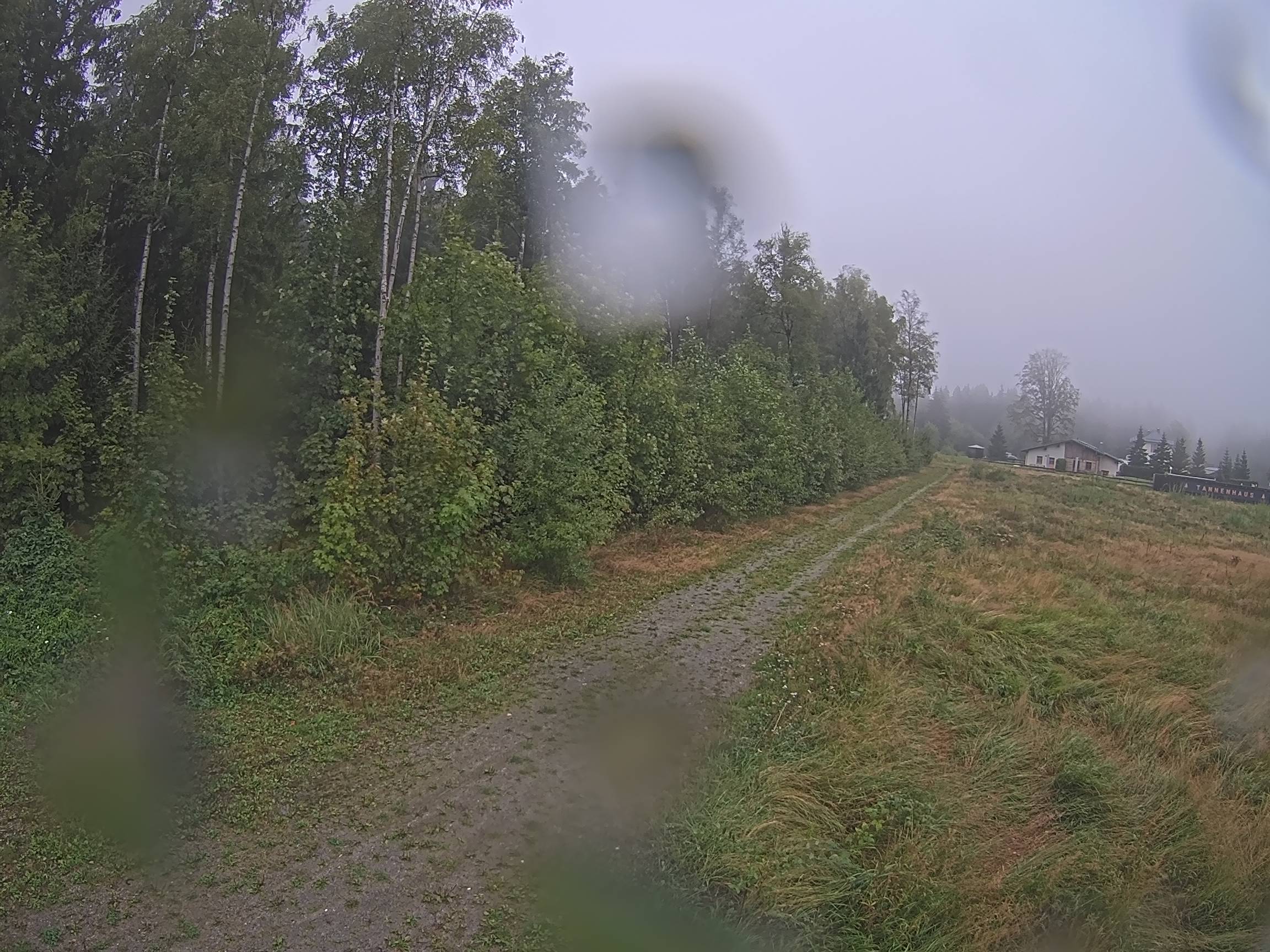 Webcam Schöneck Bogen