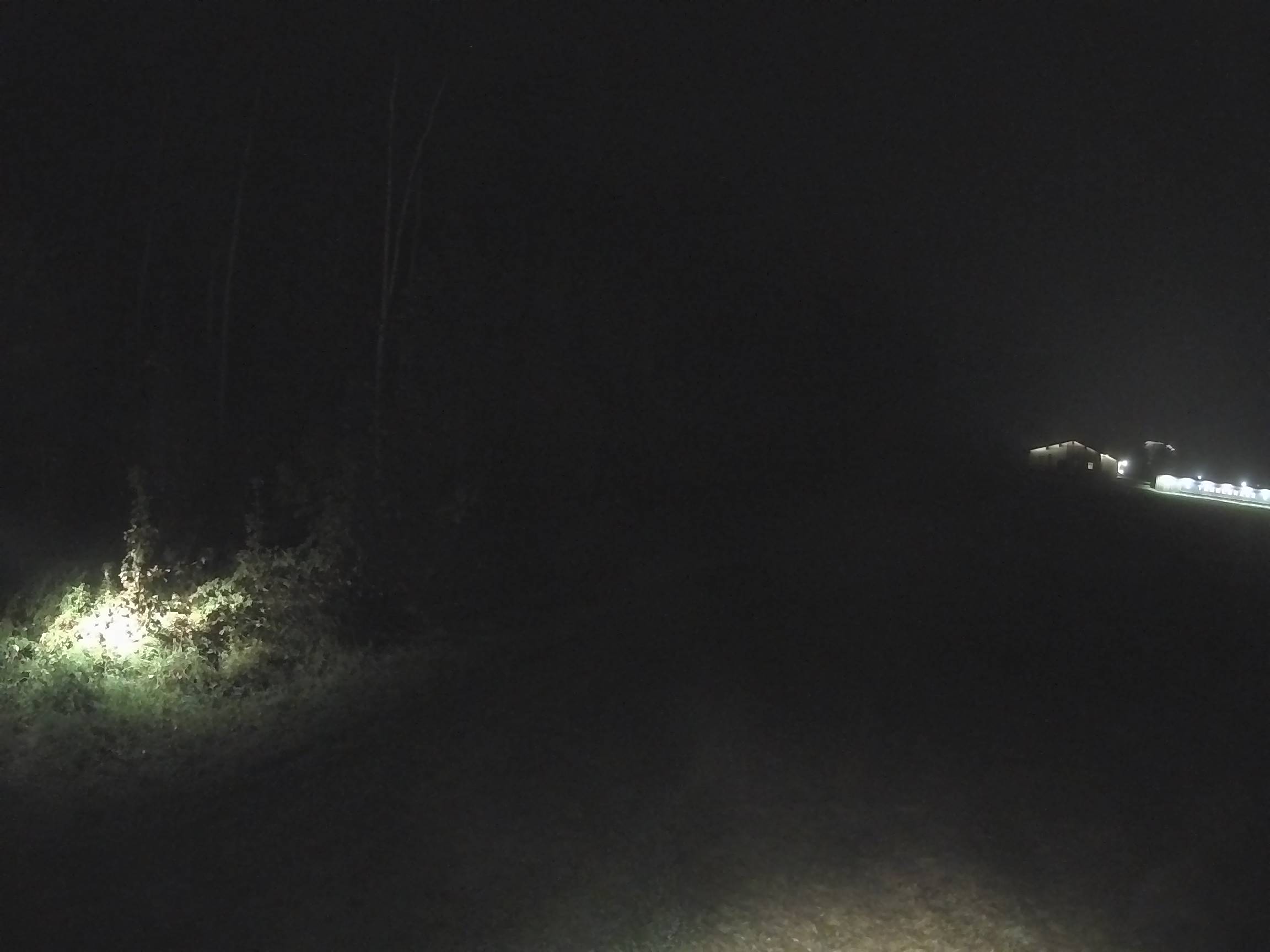 Webcam Schöneck Bogen