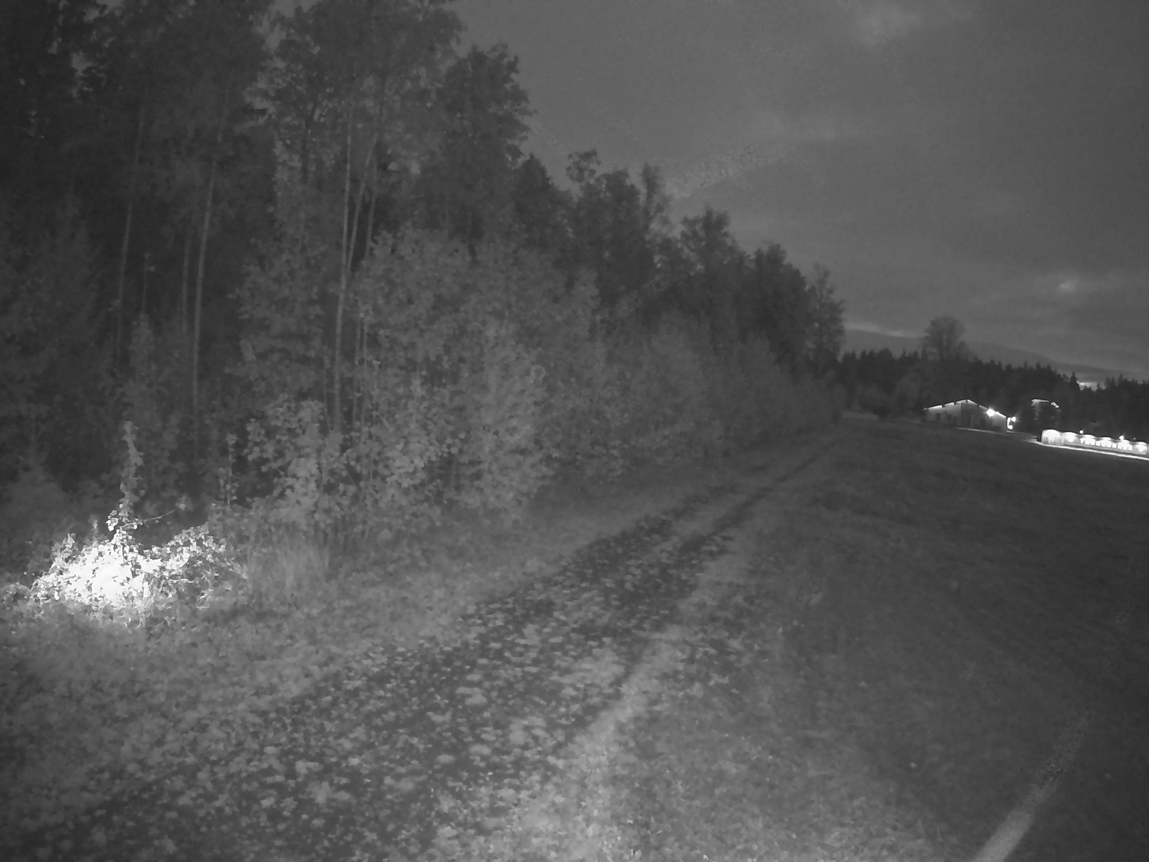 Webcam Schöneck Bogen