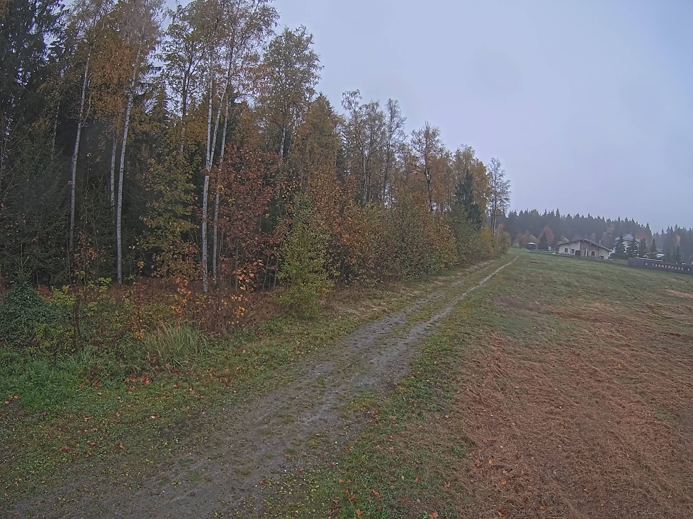 Webcam Schöneck Bogen