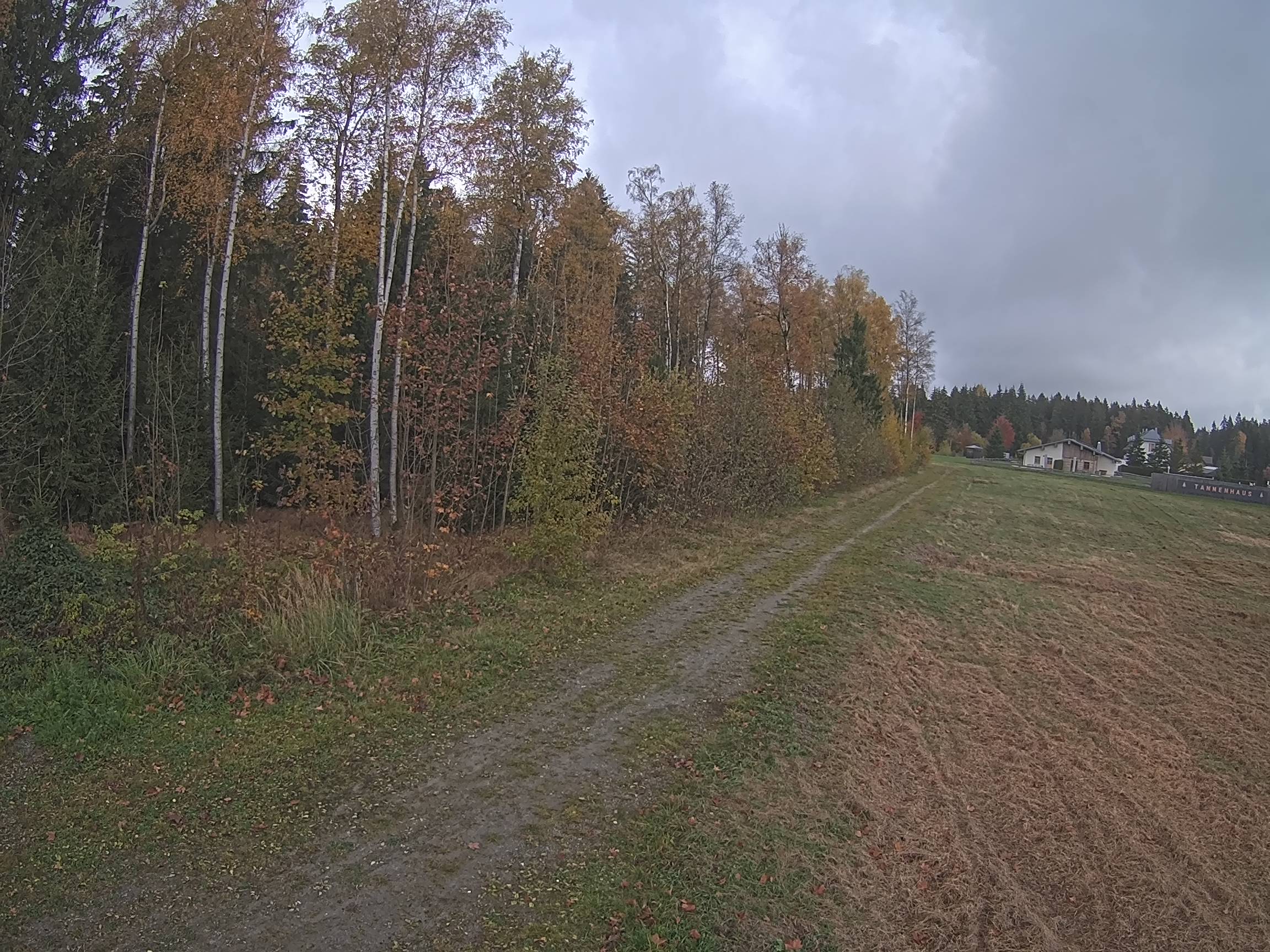 Webcam Schöneck Bogen