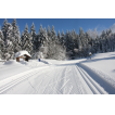 Beste Loipenverhältnisse an der Sonnenterrasse Schneckenstein