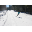 Breite Kammloipentrasse; links geräumter Wanderweg zur Hämmerlinghütte