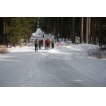 Auch im März 2015 waren noch zahlreiche Ski-Ferntouristen auf der Kammloipe unterwegs.