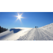 Herrliches Loipenerlebnis bereits vor dem Ausblick (Aufn. 22.01.16 SG)