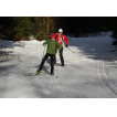 Skating im Spätwinter auf der Kammloipe