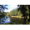 Blick von der Kammloipentrasse über den "Kammsee Tannenhaus"